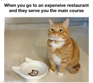 Stupid Bar Memes axybQG2ssb