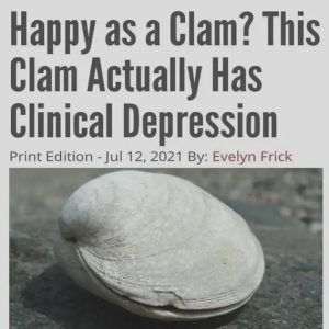 Stupid Bar Memes b261adb6ab9b2701de
