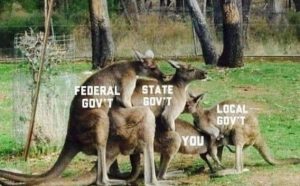Stupid Bar Memes b7db4c17f27d