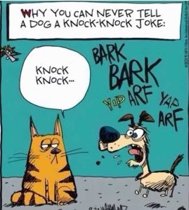 Stupid Bar Memes cantstsknocksjokesb