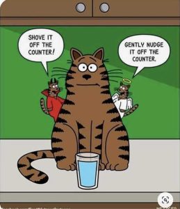 Stupid Bar Memes catsdevilsshntersa