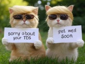 Stupid Bar Memes catsssysaboutsyour