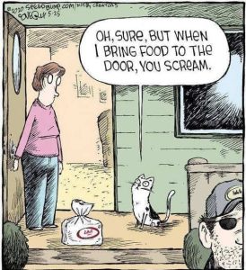 Stupid Bar Memes catsuscatsbring