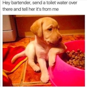 Stupid Bar Memes d148f14a2f7ba