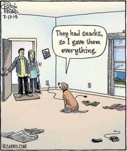 Stupid Bar Memes dogsbsnackssgavesthe