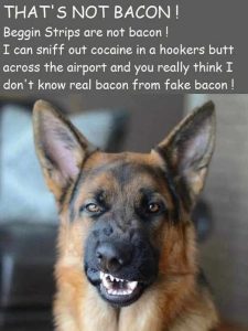 Stupid Bar Memes dogsssstripssnotsba