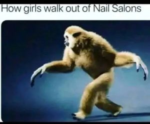 Stupid Bar Memes duWwMZwsd