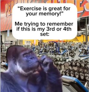 Stupid Bar Memes exercisememorys3rdsor