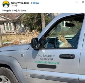 Stupid Bar Memes fbscaespestscontr
