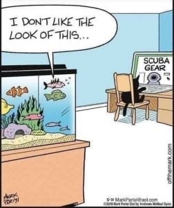 Stupid Bar Memes fishstansscubasgea