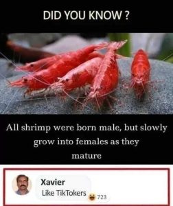 Stupid Bar Memes fslowlysgrow