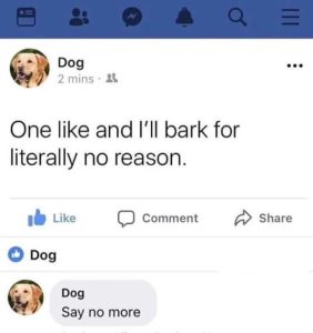 Stupid Bar Memes fsnosreasonsdogss
