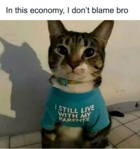 Stupid Bar Memes funnysrelatacasms10