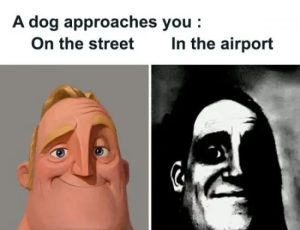 Stupid Bar Memes funnysresssadcasms38