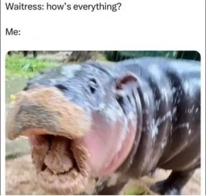 Stupid Bar Memes funnyssss640s49