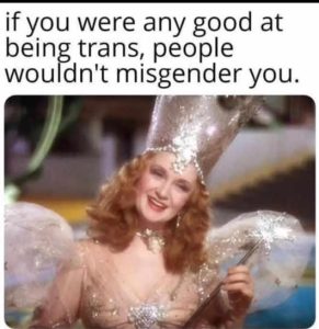 Stupid Bar Memes goodswatstransspeop