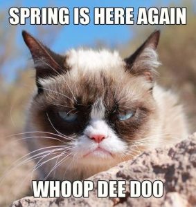 Stupid Bar Memes grumpyngstime