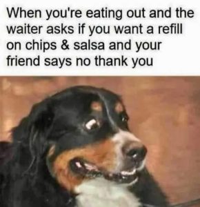 Stupid Bar Memes iLVh9Fm