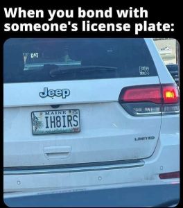 Stupid Bar Memes ishateonesslicense