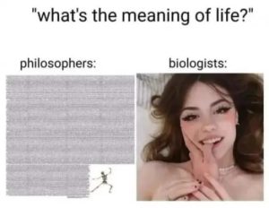 Stupid Bar Memes m01oEtS