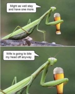 Stupid Bar Memes mantisthersbeerswi