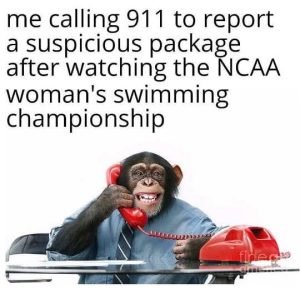 Stupid Bar Memes mescalssiousspackag