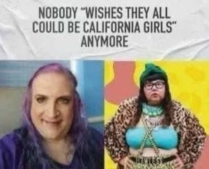 Stupid Bar Memes nobocouldsallsbe