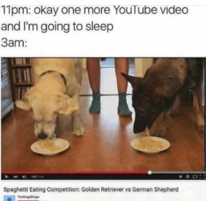Stupid Bar Memes onesmorepsgoldensre