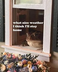 Stupid Bar Memes r3z5srtgdeve1