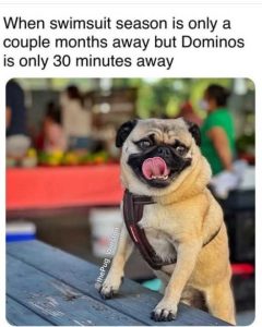 Stupid Bar Memes swimsscouplesmonthssaw