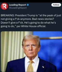 Stupid Bar Memes xstrumpsasgivingsfcksa