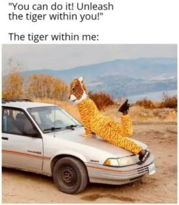 Stupid Bar Memes z9rQ7WUsd