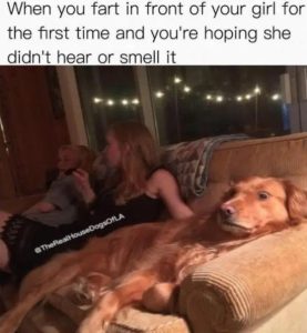 Stupid Bar Memes 113as6f394ddd