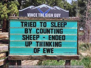 Stupid Bar Memes 149718s75221