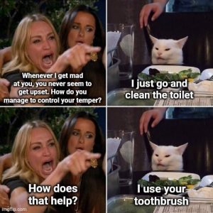 Stupid Bar Memes 1652dfebad9bc