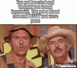 Stupid Bar Memes 216495de773e4a2f