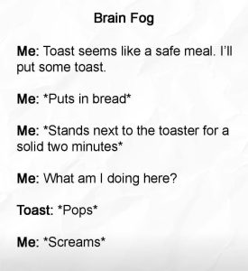 Stupid Bar Memes 316913s815853