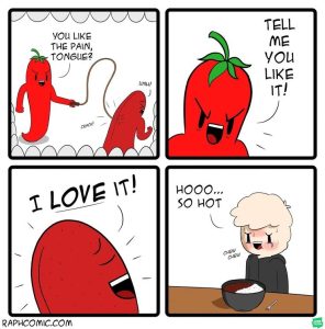 Stupid Bar Memes 331055s65448