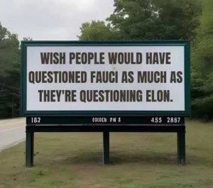 Stupid Bar Memes 337a89087823b