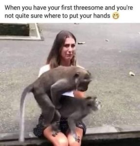 Stupid Bar Memes 41d1b159ae40467