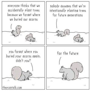Stupid Bar Memes 49087127s234