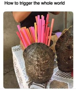 Stupid Bar Memes 49534596s20353