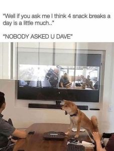 Stupid Bar Memes 497197s35538