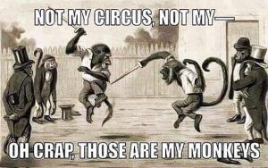 Stupid Bar Memes 60920s463782