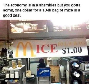 Stupid Bar Memes 61fef596afe64e4a2