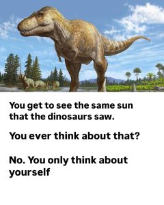 Stupid Bar Memes 6203374s1965