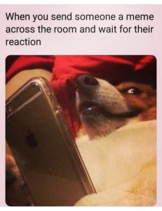 Stupid Bar Memes 67s85540