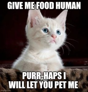 Stupid Bar Memes 680d1bd01ecbd