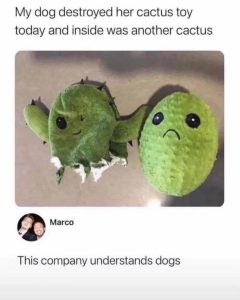 Stupid Bar Memes 6819efadc9452