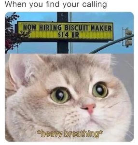 Stupid Bar Memes 681b0c4de1867